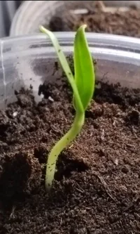 1000002559.jpg 1000002559.jpg