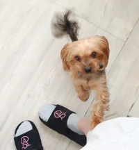 IMG_20250302_100757~01.webp IMG_20250302_100757~01.webp