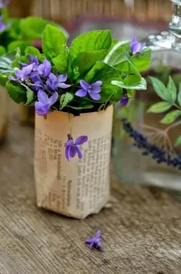 FB_IMG_1740511776807.webp