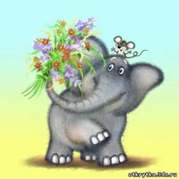 858995786.webp 858995786.webp