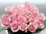 297041325.gif 297041325.gif