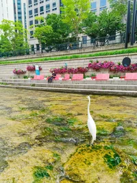 orig (6).png orig (6).png