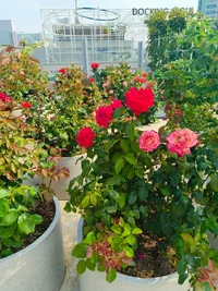 orig (7).png orig (7).png