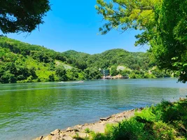 orig (13).png orig (13).png