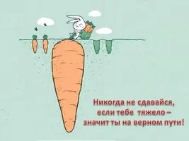 i (55).webp i (55).webp