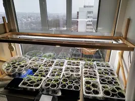 1000002862.webp 1000002862.webp