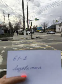 1000184557.webp
