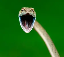 20a1826f2cdbaf183752441d07b8878aadd8wf~01.webp 20a1826f2cdbaf183752441d07b8878aadd8wf~01.webp