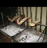 IMG_2472.webp IMG_2472.webp