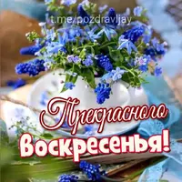 i (41).webp i (41).webp