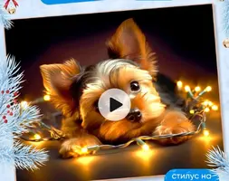 Screenshot_2025-03-30-22-38-06-097_com.wildberries.ru~01.webp Screenshot_2025-03-30-22-38-06-097_com.wildberries.ru~01.webp