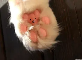 7ee830eff162df8b8be309f0f84b9a8b.webp 7ee830eff162df8b8be309f0f84b9a8b.webp