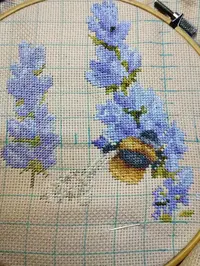 IMG_20250427_073144.webp IMG_20250427_073144.webp