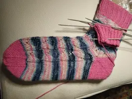 IMG_20250427_223131.webp IMG_20250427_223131.webp