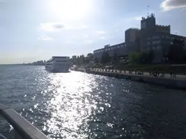 photo_2025-05-04_21-52-43.webp photo_2025-05-04_21-52-43.webp