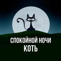 картинка-коть-Спокойной-ночи-117.webp