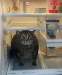 hgkg.webp hgkg.webp
