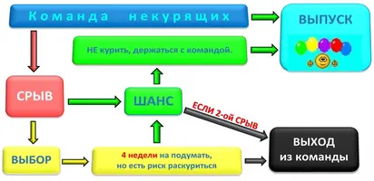 4 недели.webp
