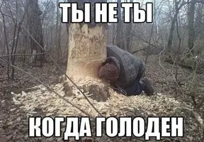 d-4K8ayJs5w.webp d-4K8ayJs5w.webp