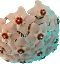 1748866360912.webp