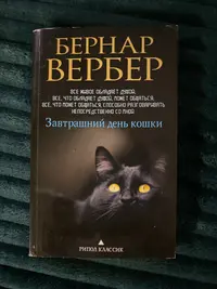 IMG_0446.webp IMG_0446.webp