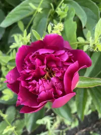 IMG_3566.webp IMG_3566.webp