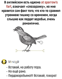 IMG_2314.webp