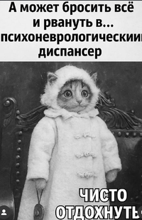 IMG_2330.webp