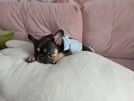 IMG_20250706_155210.webp