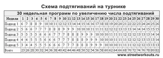 176066370_ef5e190b970005000ebc30d3993b9c75_800.webp