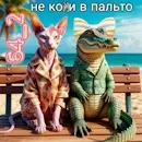 2196339-bc7bfdf56757fd504e4b1578de6562de.jpg