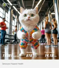 sporthealth-1-20250719-204252.webp
