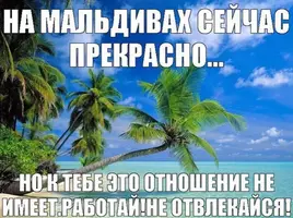 IMG_8768.webp