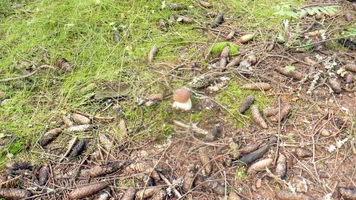 P1060040.webp P1060040.webp