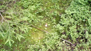 P1060041.webp P1060041.webp