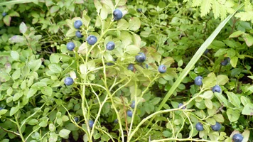 P1060044.webp P1060044.webp