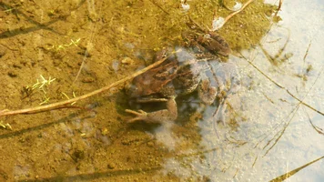 P1060054.webp P1060054.webp