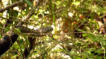 P1060057.webp P1060057.webp