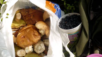 P1060066.webp P1060066.webp