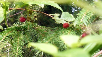 P1060047.webp P1060047.webp