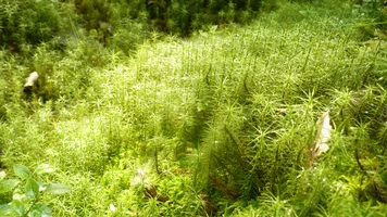 P1060048.webp P1060048.webp