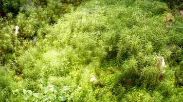 P1060049.webp P1060049.webp