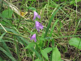 DSCF4116.webp
