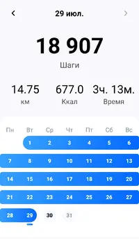 IMG_20250730_000051.webp