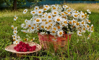 1000053675.webp