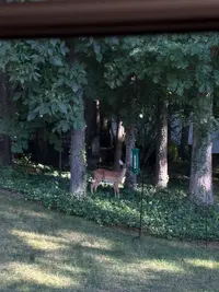 IMG_2471.webp IMG_2471.webp