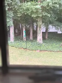 IMG_2475.webp IMG_2475.webp