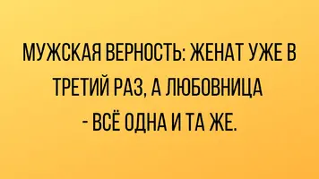 1753988209572.webp
