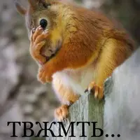 IMG_20250731_215831_616.webp
