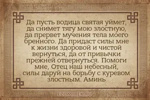113dc2f4afdb91d0376ee00bef01987a.webp